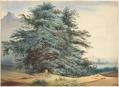 Two Ancient Trees before a Mountain Peak