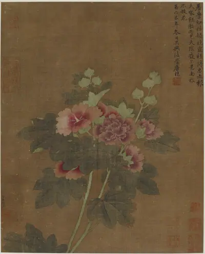 Hollyhocks