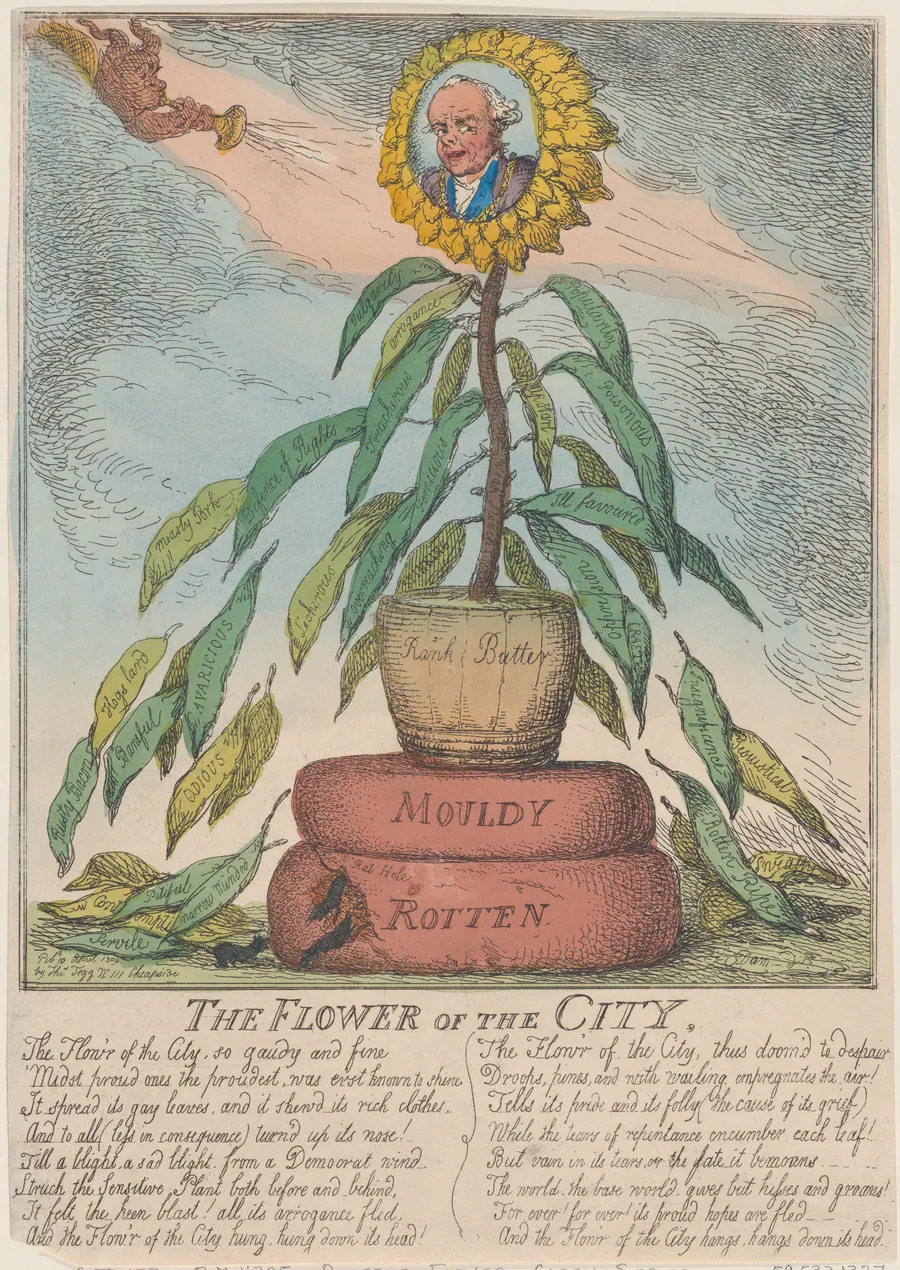 The Flower of the City by Thomas Tegg