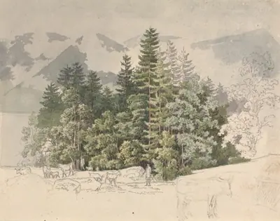Alpine Landscape