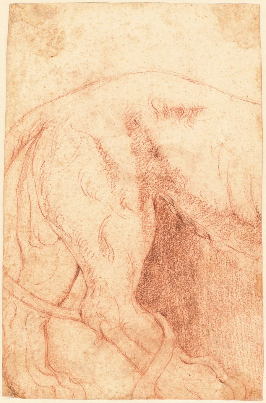 Fragment of a Lion Bas-Relief (verso) by Giovanni Battista Piranesi