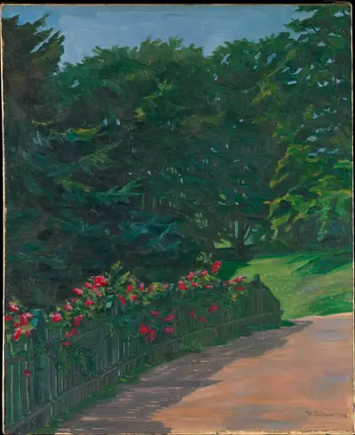Rose Hedge