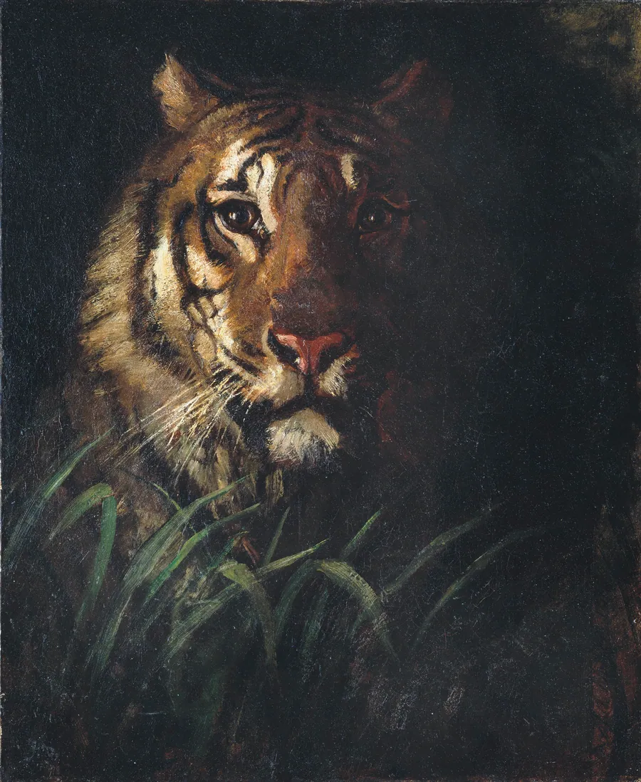 Tiger's Head by Abbott Handerson Thayer, born Boston, MA 1849-died Dublin, NH 1921