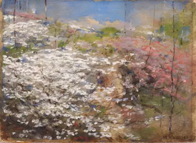 Field of Blossoms