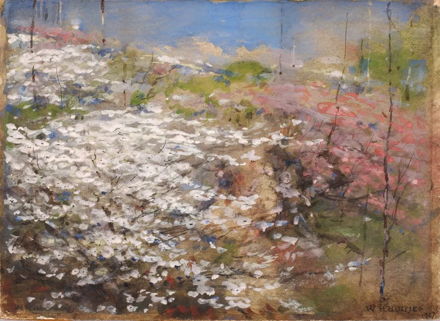 Field of Blossoms by William Henry Holmes, born Cadiz, OH 1846-died Royal Oak, MI 1933