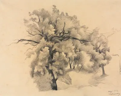Study of Trees