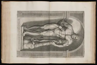The Farnese Hercules
