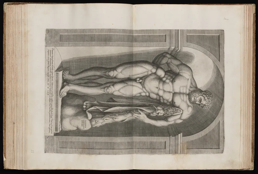 The Farnese Hercules by Jacob Bos