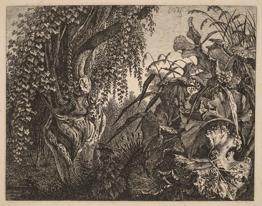 A Thicket; a Gnarled Willow Tree at Left, a Thicket of Vegetation at Right by Carl Wilhelm Kolbe