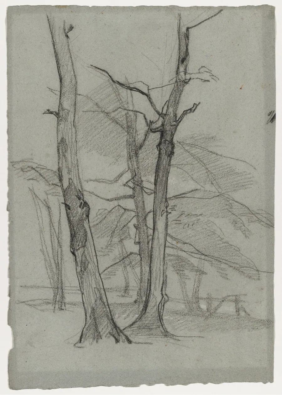 Landscape Study with Trees by Thomas Couture