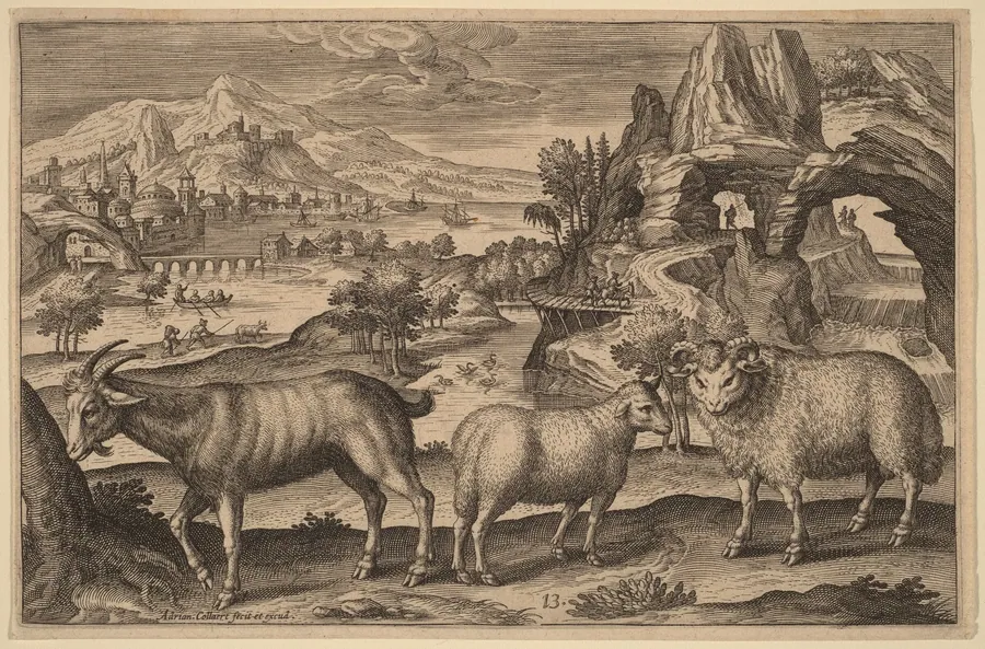 A Goat, a Ewe, and a Ram by Adriaen Collaert