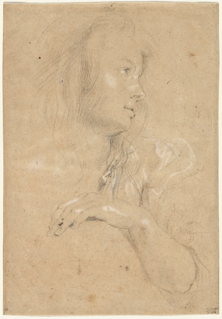 Young Woman in Profile by Sir Peter Paul Rubens