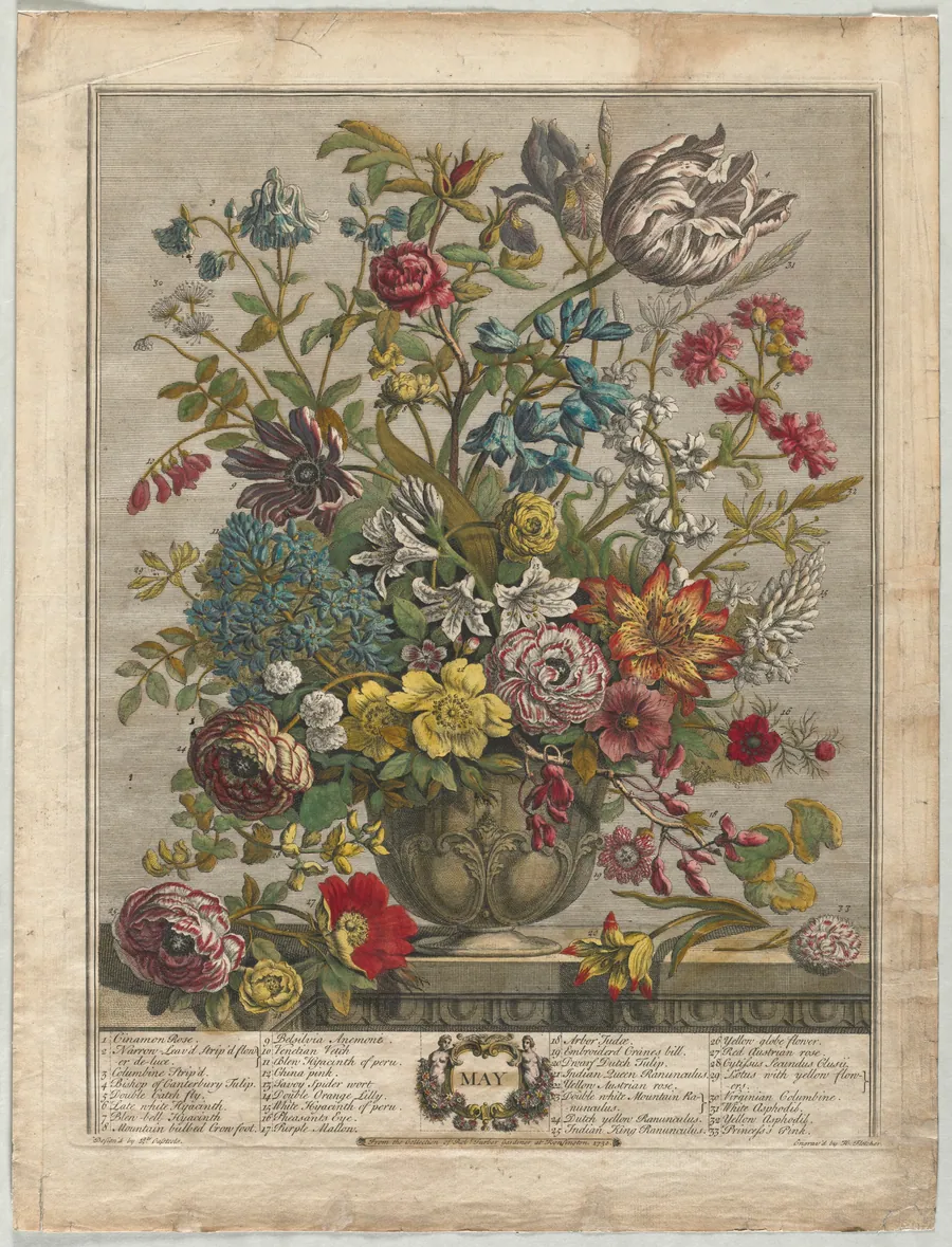 Twelve Months of Flowers:  May by Henry Fletcher