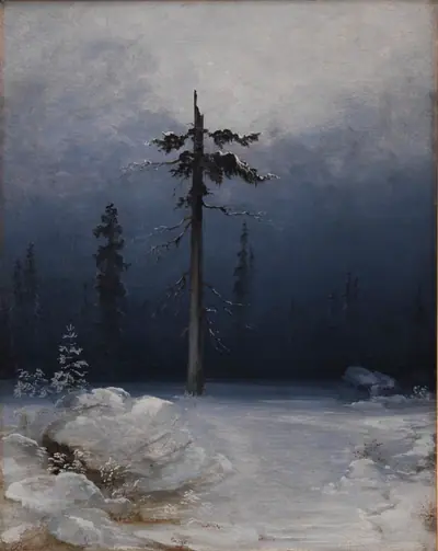 Træ i vinterskov
