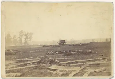 View on the Battlefield of Antietam, September 1862