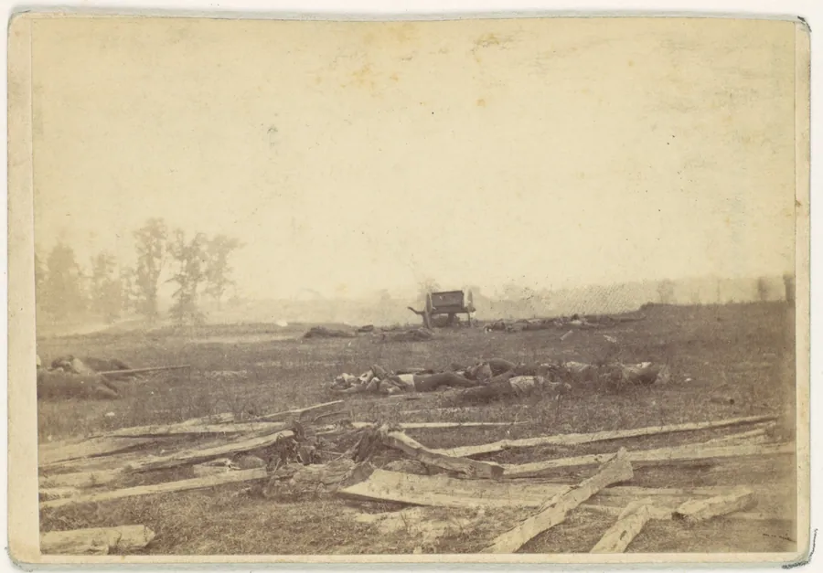 View on the Battlefield of Antietam, September 1862 by Alexander Gardner