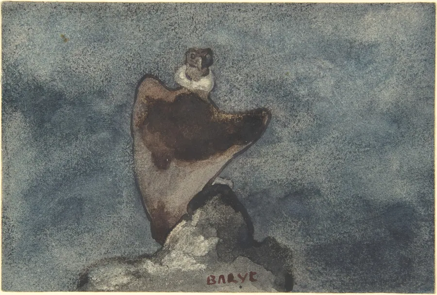 Vulture by Antoine-Louis Barye