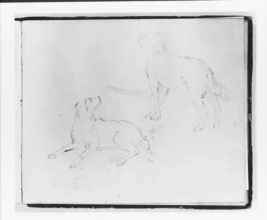 Two Studies of a Dog: Lying Down and Three Quarter Rear View Standing (from Sketchbook) by Francis William Edmonds