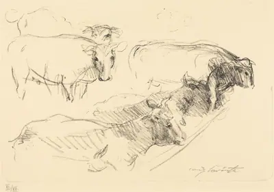 Kühe (Cows)