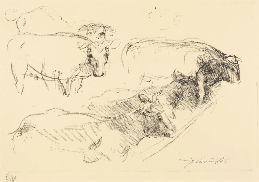 Kühe (Cows) by Lovis Corinth