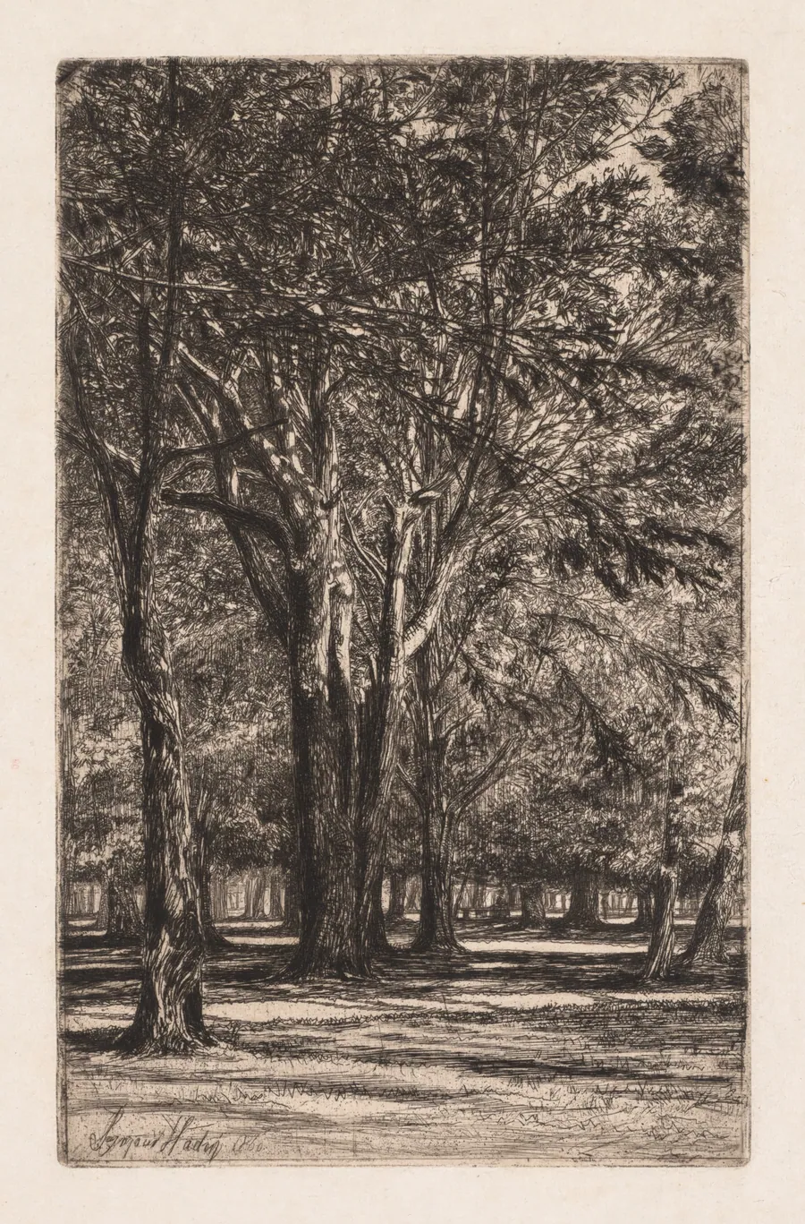 Kensington Gardens, No. 2 (The Larger Plate) by Francis Seymour Haden