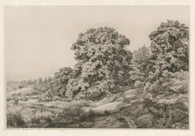 Oaks near a Pond