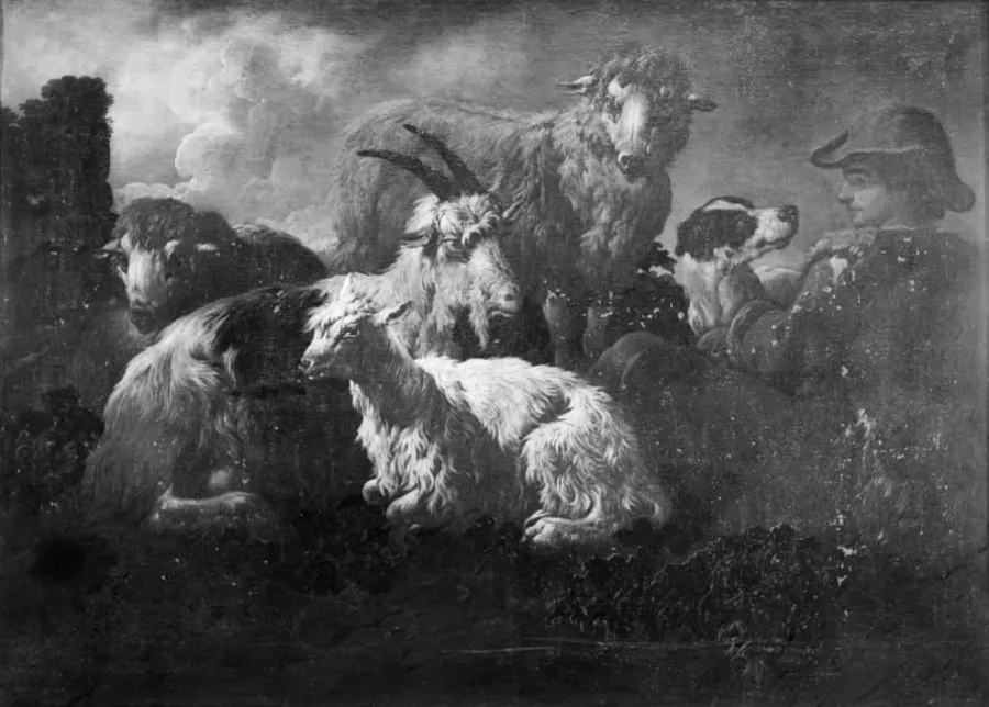 Kvægstykke by Philipp Peter Roos