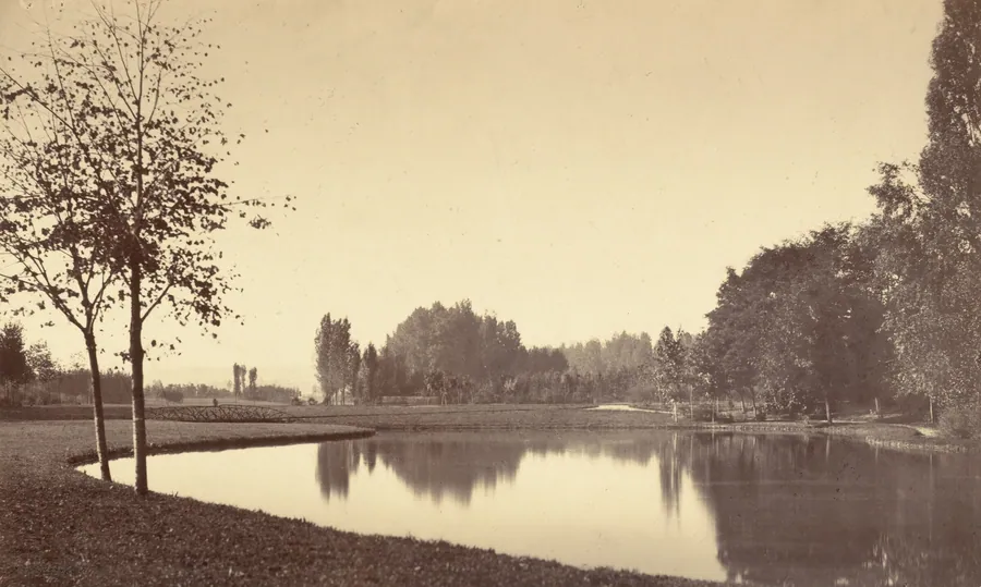 Bois de Boulogne by Charles Marville