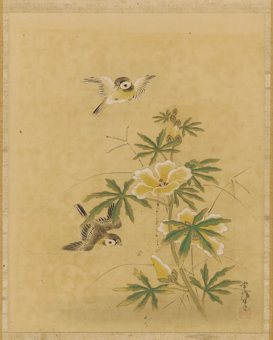 Birds and flowers by Kano Tsunenobu 狩野常信 (1636-1713)