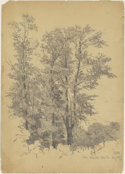 Oaks, Wolf Hill, Ulster County