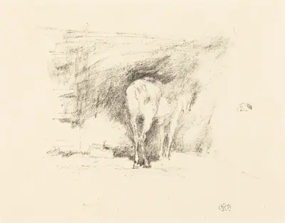 Study of a Horse