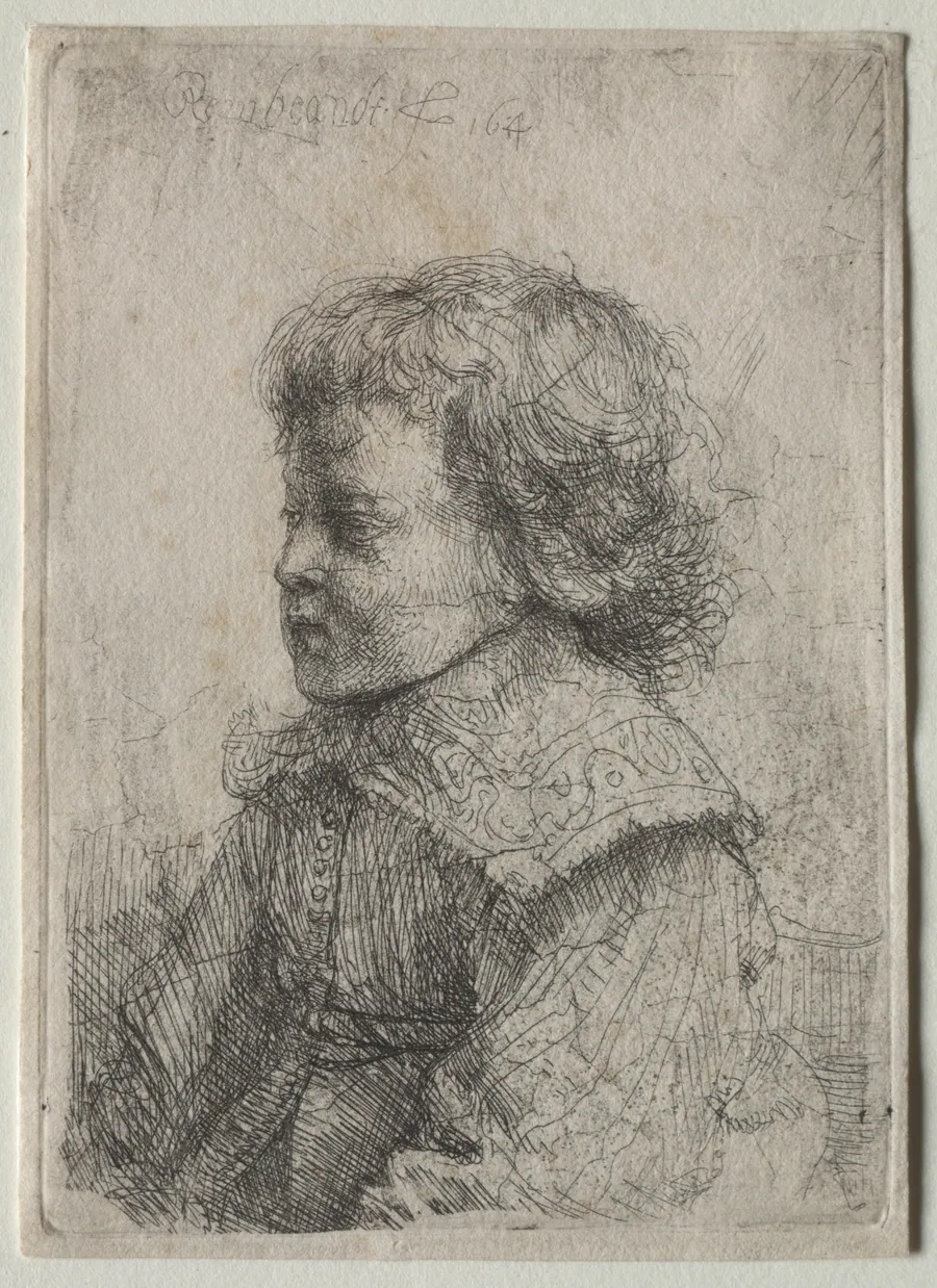 Portrait of a Boy in Profile by Rembrandt van Rijn