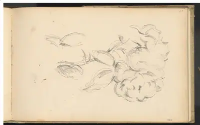 Peonies