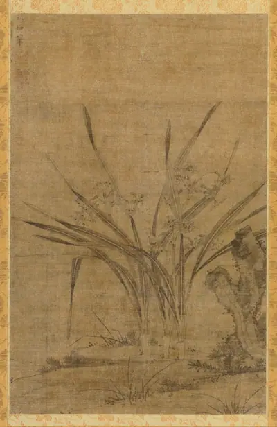 Narcissus and Rocks