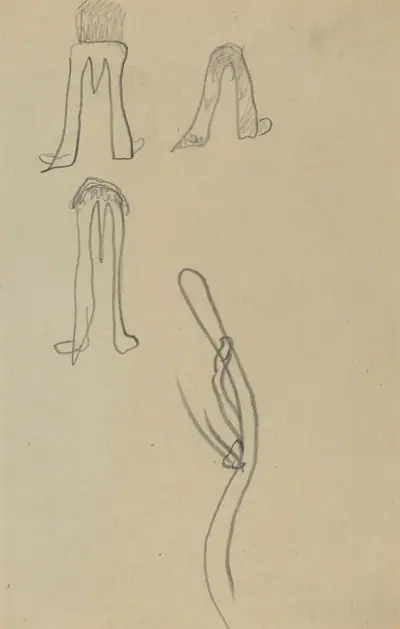 Four Fantastic Forms [recto]