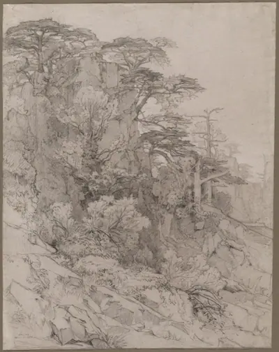 Trees of a Rocky Hillside