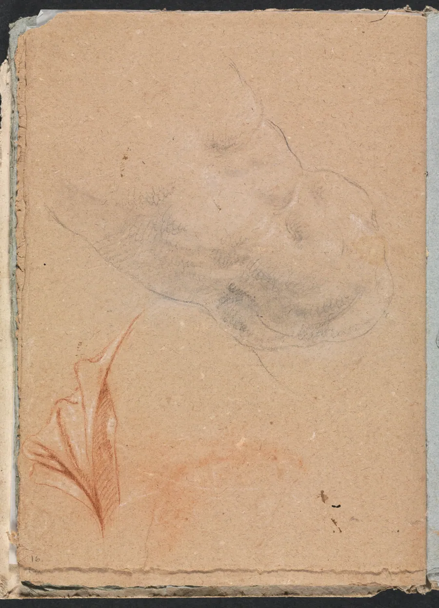 Verona Sketchbook: Nude male torso with drapery (page 16) by Francesco Lorenzi