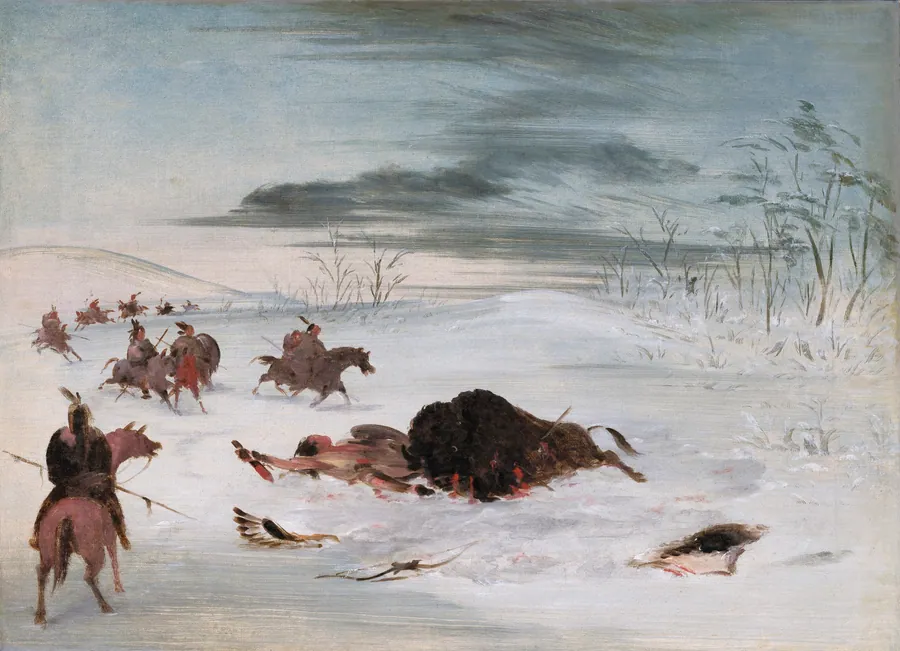 Dying Buffalo Bull in a Snowdrift by George Catlin, born Wilkes-Barre, PA 1796-died Jersey City, NJ 1872