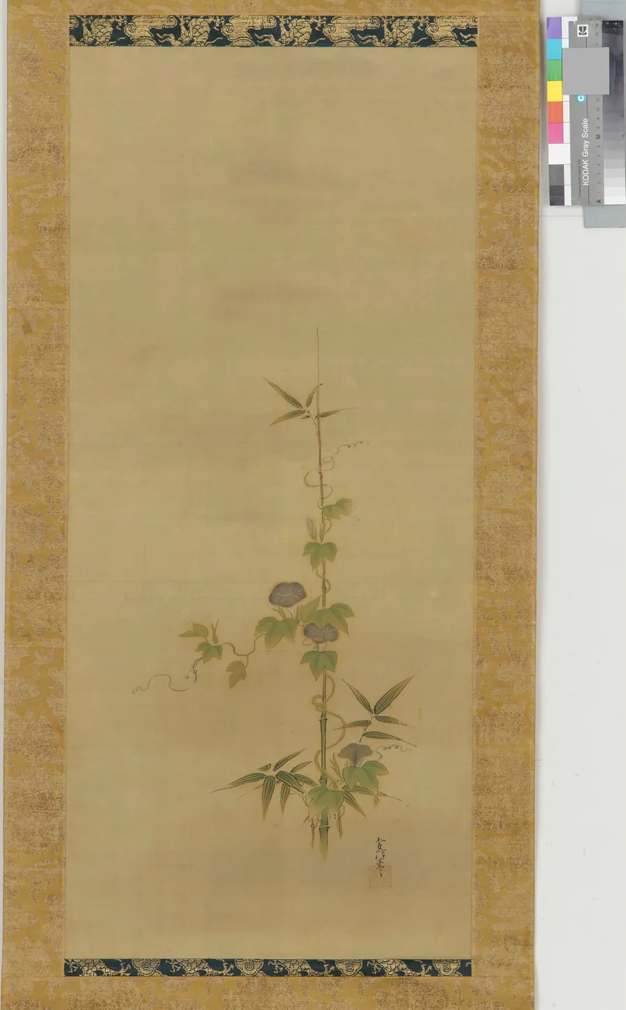 Morning glory and bamboo (part of a set, F1904.379-381) by Kano Tsunenobu 狩野常信 (1636-1713)