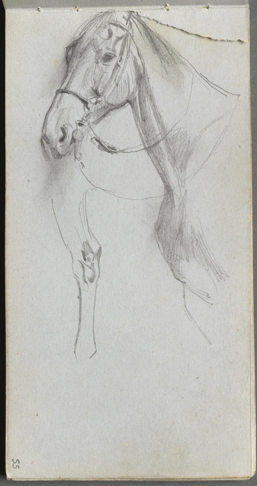 Sketchbook, page 55: Study for a Horse by Ernest Meissonier