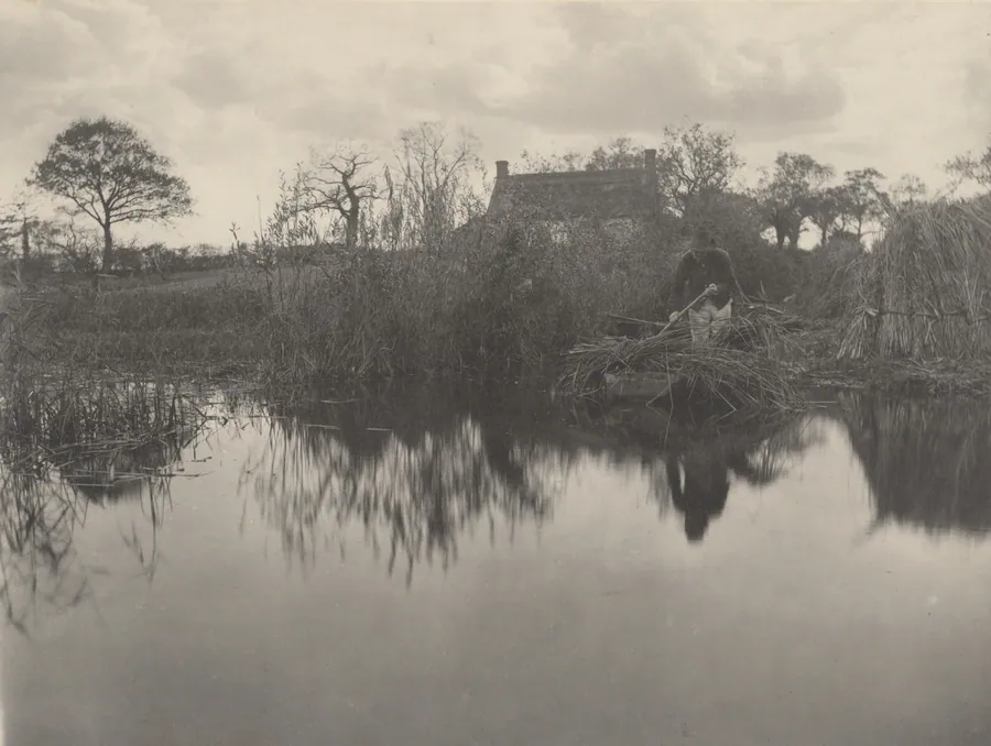 Quanting the Gladdon by Peter Henry Emerson