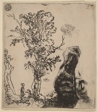 Sheet with Two Studies: a Tree, and the Upper Part of a Head of the Artist Wearing a Velvet Cap