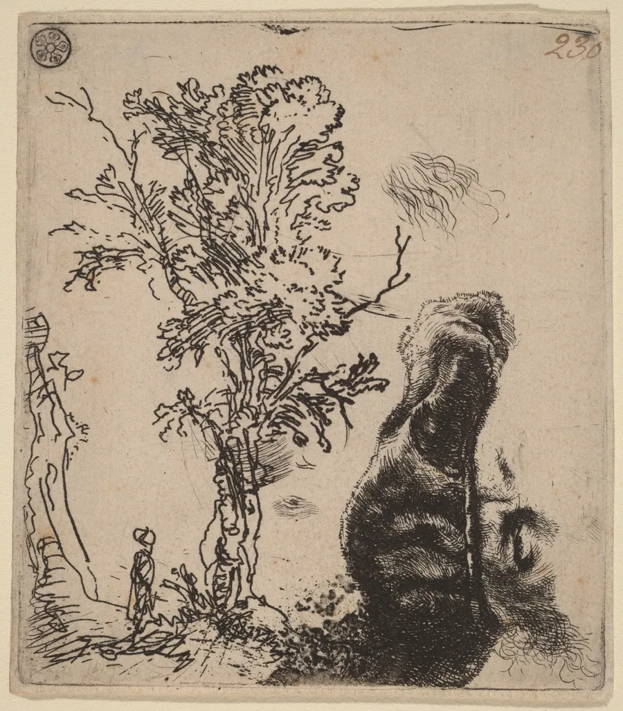 Sheet with Two Studies:  a Tree, and the Upper Part of a Head of the Artist Wearing a Velvet Cap by Rembrandt van Rijn