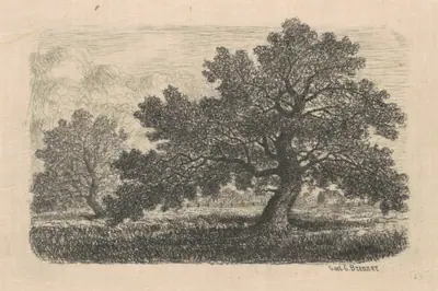 Apple Trees