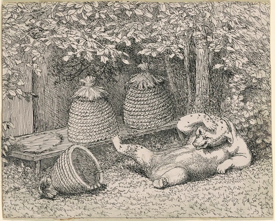 Bear Stung by Bees by William Holbrook Beard