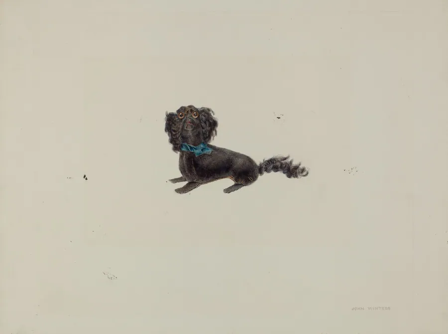 Plush Toy Dog by John Winters