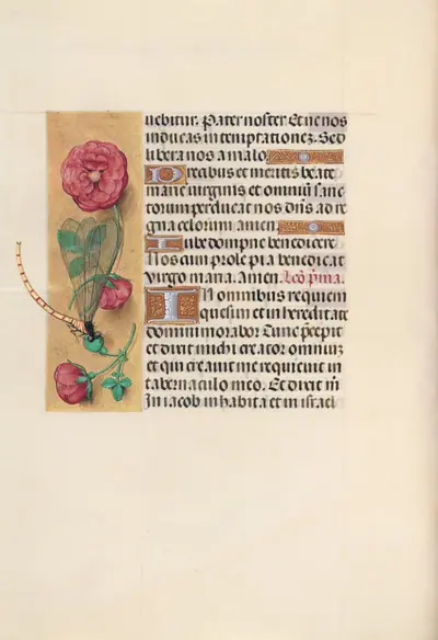 Hours of Queen Isabella the Catholic, Queen of Spain: Fol. 110v