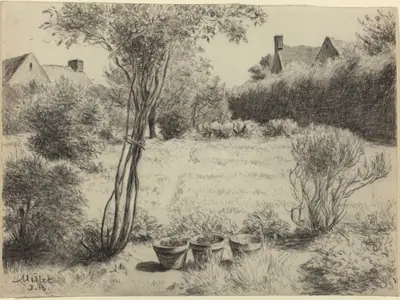 Sunlit Garden
