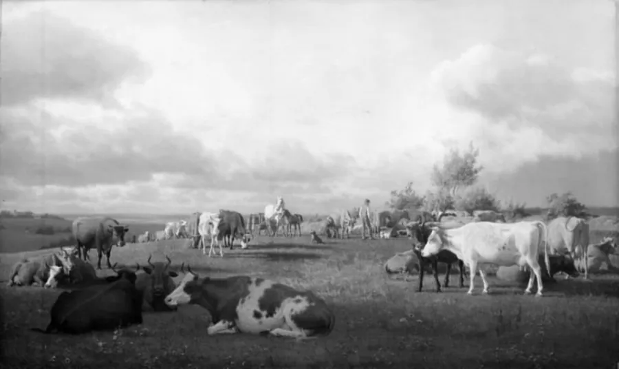 På malkepladsen by Carl Bøgh