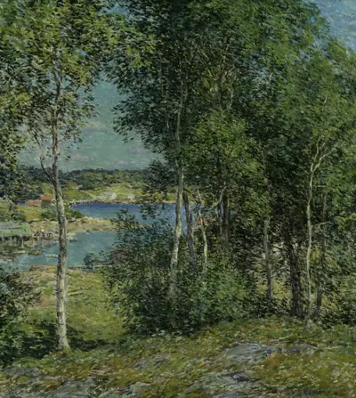 A Family of Birches